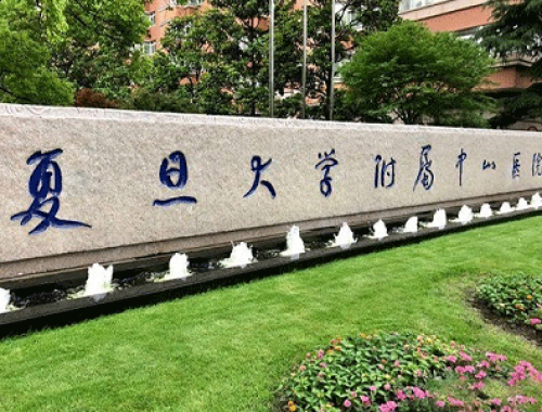 复旦大学附属中山医院 ( 复旦中山医院)