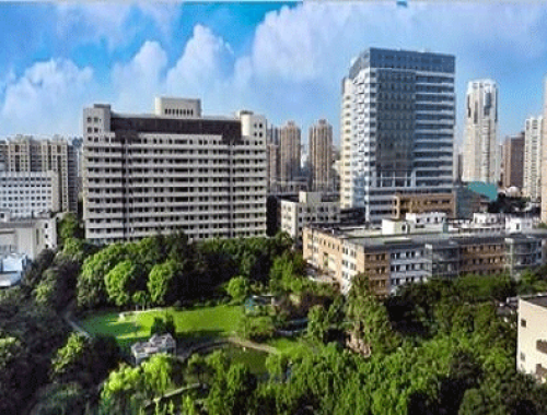 上海交通大学附属第六人民医院 ( 上海六院)