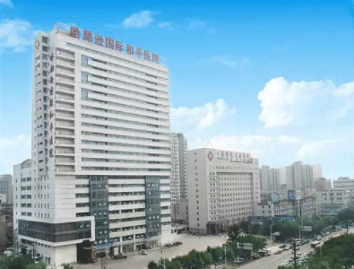 哈励逊国际和平医院 ( 衡水市人民医院)