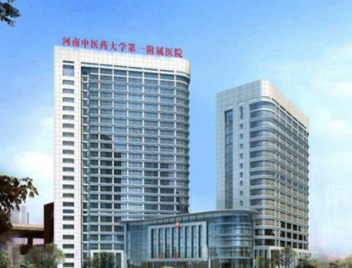 河南中医药大学第一附属医院 ( 河南中医一附院)