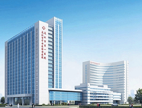 武汉市中西医结合医院 ( 武汉市第一医院)