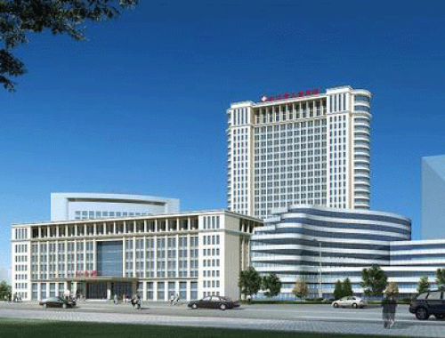 武汉市妇女儿童医疗保健中心 ( 武汉儿童医院)