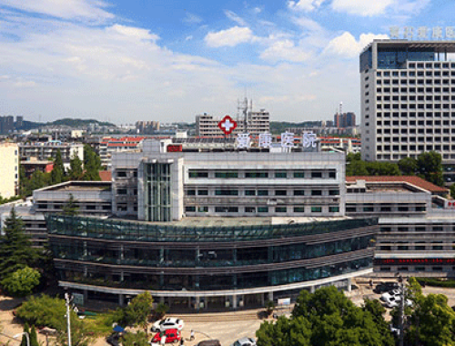 原冶钢集团职工医院 ( 黄石爱康医院)