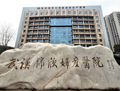 武汉黄浦中西医结合妇产医院 ( 武汉黄浦医院)