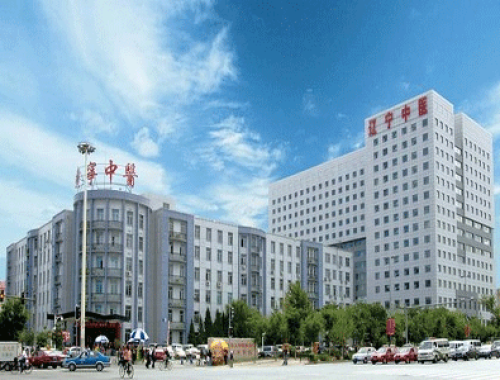 辽宁中医药大学附属医院 ( 辽宁省中医院)