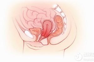 泰国试管婴儿后,胚胎着床需要多长时间?这些事项请务必注意!