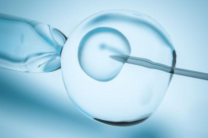 试管婴儿胚胎移植后,多久可以确认是否成功着床?关键资讯全面解