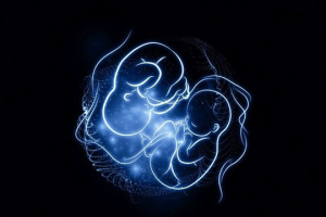 子宫内膜的厚度会对试管婴儿过程中胚胎的着床产生影响吗?