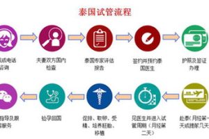 提高IVF胚胎着床率的实用科学方法