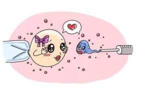 我的备孕经历:从两次胎停到第三代试管婴儿的希望之路