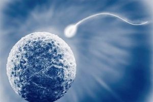 试管婴儿胚胎移植后,是否真的需要持续卧床休息呢?