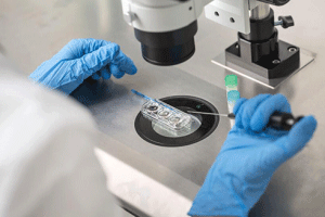 试管婴儿移植后,胚胎需要多长时间才能“定居?这些重要知识你