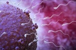 试管婴儿胚胎移植后,怎样进行科学护理以提高胚胎着床的成功率?