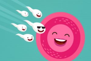 泰国试管婴儿移植后:胚胎着床的迹象与注意事项