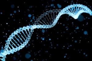 泰国试管婴儿进行胚胎移植后,胚胎需要多长时间才能着床?