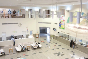 泰国试管婴儿胚胎植入的症状与时间:详细解读