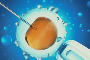 泰国试管婴儿胚胎着床期可能会出现以下症状