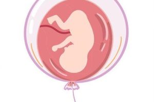 盆腔粘连是否会影响试管婴儿的着床?