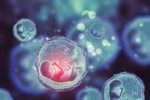 第三代试管婴儿技术能够“解决”胚胎染色体异常问题吗?
