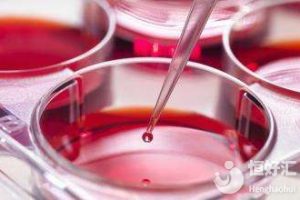 试管婴儿胚胎移植后,是应该静卧还是活动?——揭示着床的真相