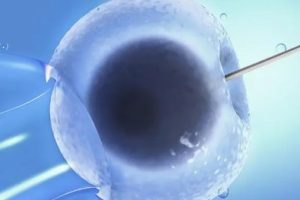 哪些因素会影响胚胎的着床呢?