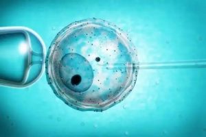 试管婴儿囊胚未能着床的常见原因包括哪些呢?