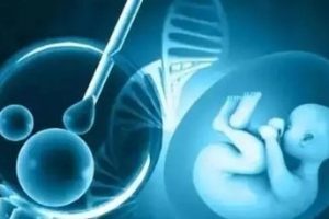 如何提升试管婴儿的着床率?关键的四个方面至关重要