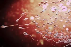 60岁女性成功怀孕:她是否使用了自己的卵子?