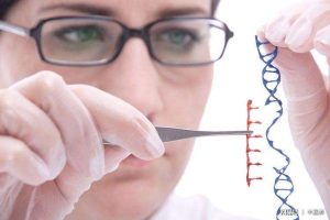 试管婴儿进行胚胎移植时,子宫内膜的理想厚度是多少?