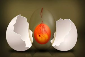 胚胎移植后,成功着床会有哪些信号?这些表现你需要了解!