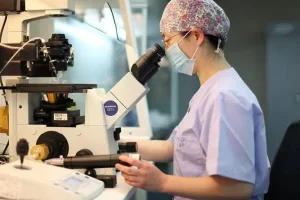 试管婴儿(IVF