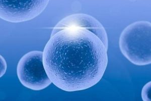 试管婴儿胚胎移植后,胚胎需要多长时间才能着床?以下三个因素至