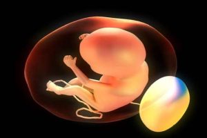 第三代试管婴儿技术:能否解决反复移植失败的问题?哪些人适合进