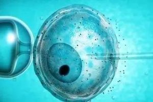 试管婴儿各阶段的饮食建议