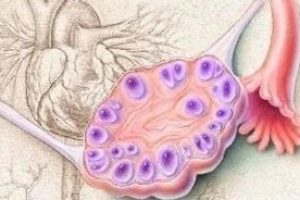 泰国试管婴儿促排卵期间的重要注意事项指南