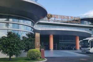 泰国胚胎移植后的反应是否正常?深入解析