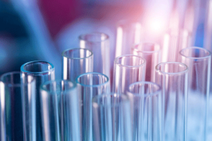 泰国胚胎移植后的饮食与护理建议:科学调理促进着床