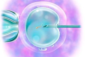 试管婴儿移植后,胚胎需要多长时间才能成功“安家?