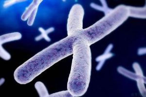 试管婴儿胚胎移植后,适当的饮食有助于更好地滋养身体