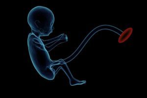 试管婴儿中的胚胎植入:时间、信号及科学分析