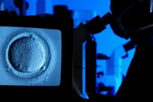 胚胎移植失败后,月经通常会在多久之后来潮?