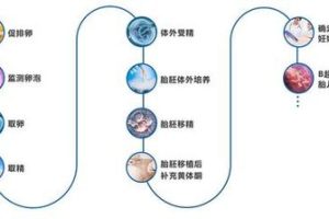 IVF胚胎移植失败后,月经出现不规律的情况?别担心