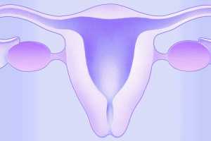 试管婴儿胚胎移植后的护理指导:科学护理助推妊娠效果提升