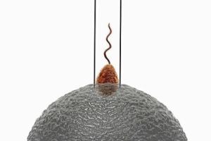 进行第二次试管婴儿尝试时需要关注哪些事项?