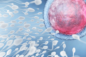 为什么医生不推荐直接进行试管婴儿?