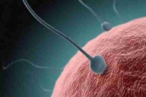 试管移植后多久可以开始运动?请收藏这份科学指南!