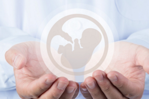 试管婴儿胚胎移植后的饮食建议