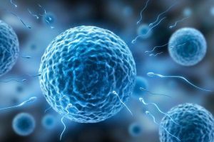 试管婴儿胚胎移植后,请务必牢记以下科学注意事项!