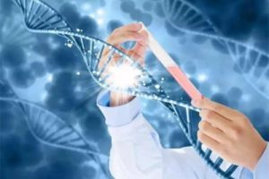 在进行试管婴儿治疗之前,您必须了解这些重要的准备事项!