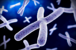 泰国试管婴儿成功备孕的四大关键:从术前到术后的全面注意事项